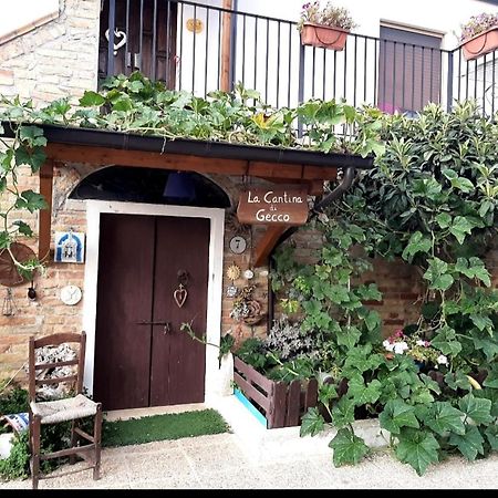 B&B La Casa In Campagna Collecorvino Exterior photo