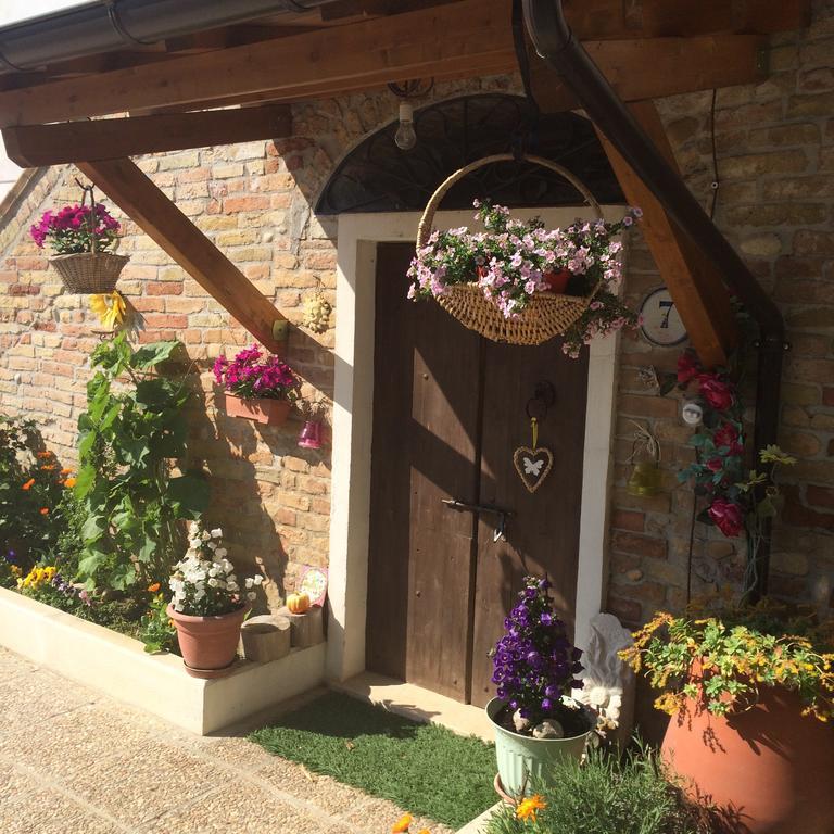 B&B La Casa In Campagna Collecorvino Exterior photo